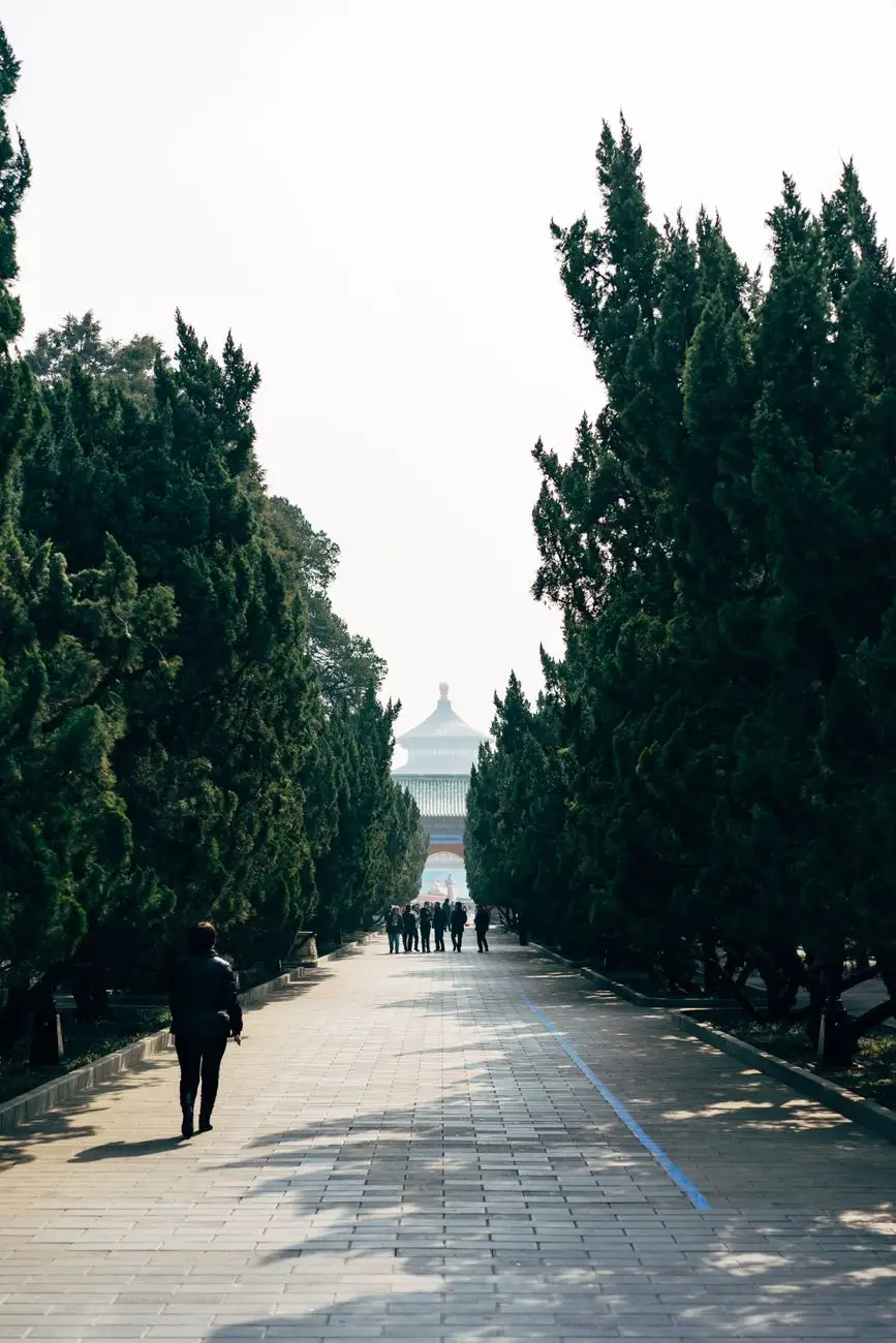 媞芙妮商业运营管理方案在辽沈地区的应用案例与效果